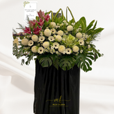 Sympathy Felicie